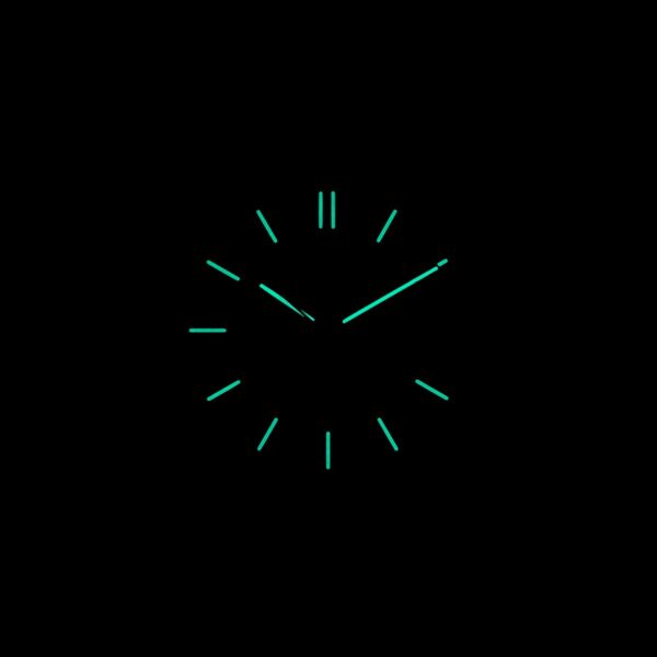 Royal Oak 15500 Black Dial - Image 11